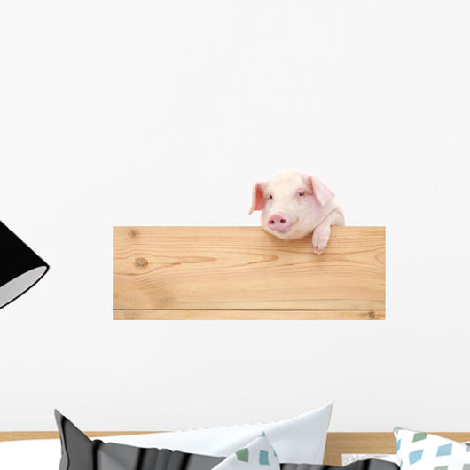 Pig with board