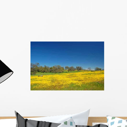 Springtime Meadow Wall Decal