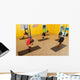 Women Doing anti Gravity Wall Decal