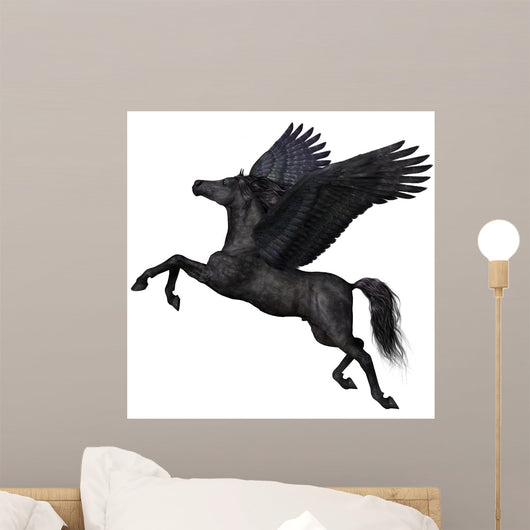 Black Pegasus Profile