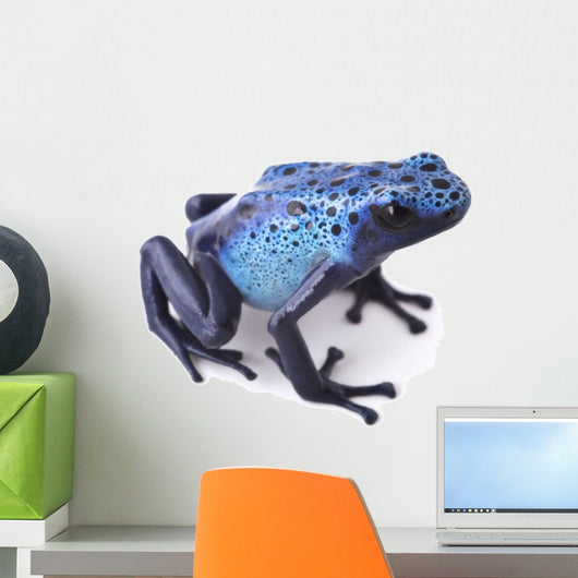 blue poison dart frog