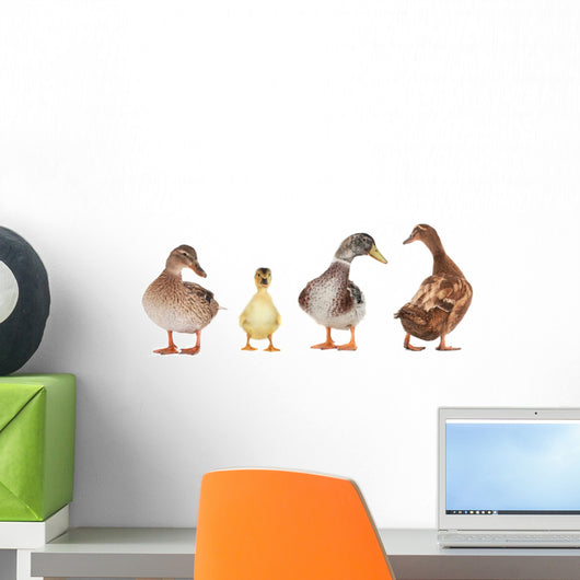 duck Wall Mural