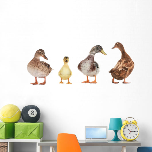 duck Wall Mural