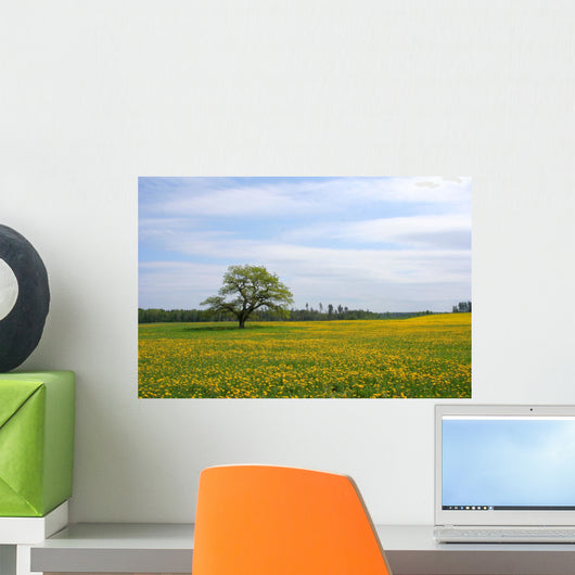 Oak tree on the Dandelion field Wall Mural