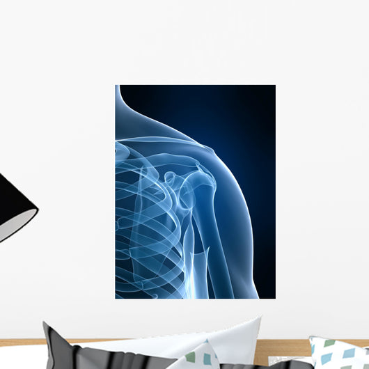 radiograph of the shoulder Wall Mural