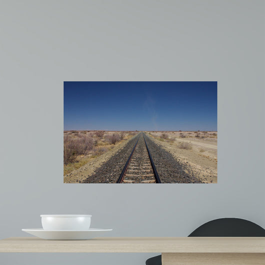 Endless tracks through the desert