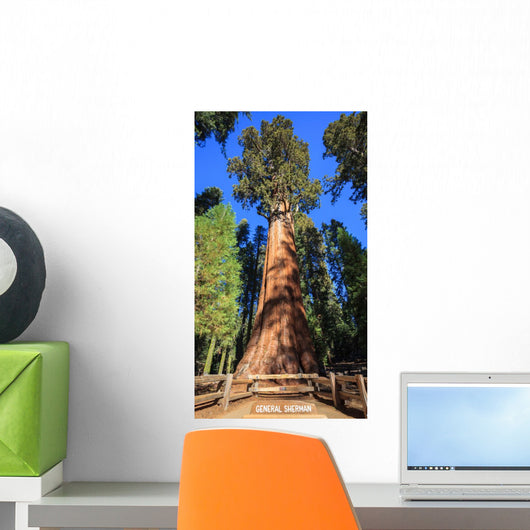 General Sherman Tree Wall Mural