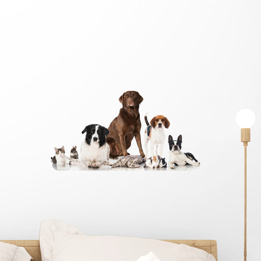 Pets