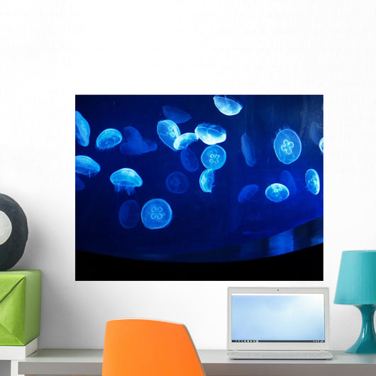 jellyfish dance Wall Mural