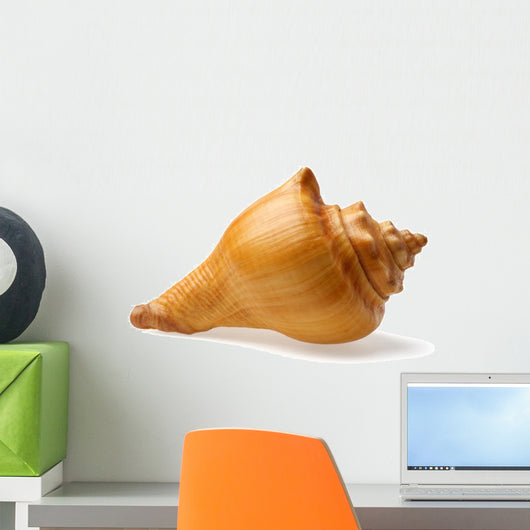 seashell Wall Decal