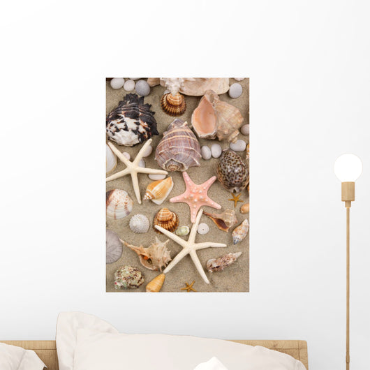 Seashell background
