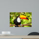 Colorful tucan in the aviary