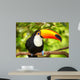 Colorful tucan in the aviary