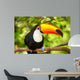 Colorful tucan in the aviary