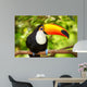 Colorful tucan in the aviary