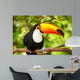 Colorful tucan in the aviary