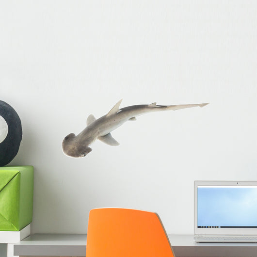 Bonnethead Shark Wall Decal