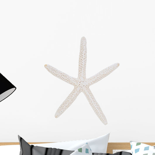 starfish isolated