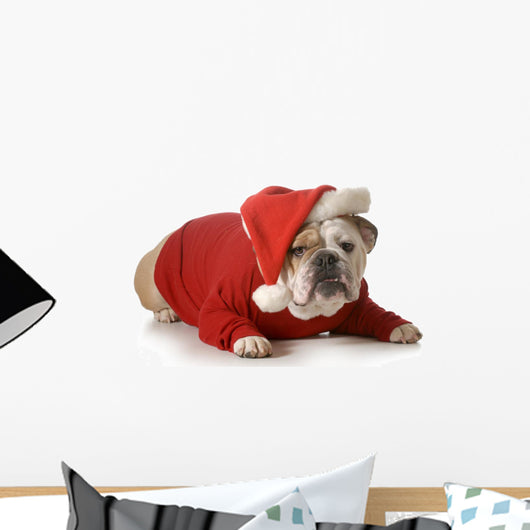 dog santa