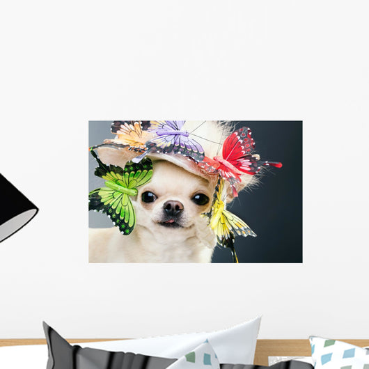 Dog Funny Cap Wall Decal