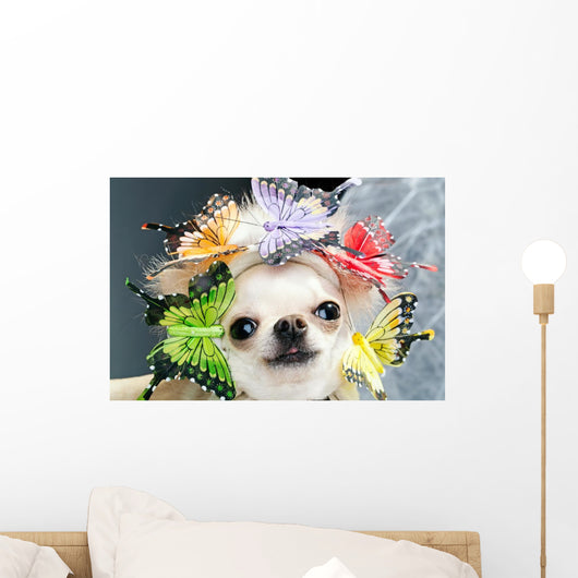 Funny Dog Wall Decal