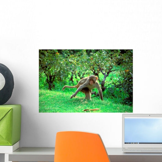 running monkey Wall Mural