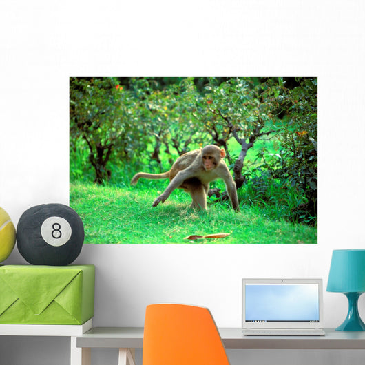 running monkey Wall Mural