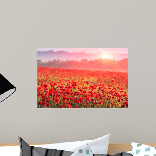 red poppy field in morning mist