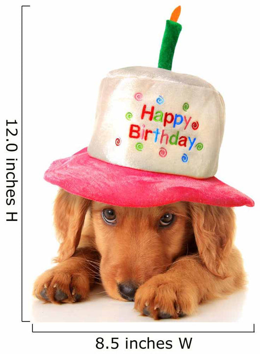 Happy birthday puppy Wall Decal