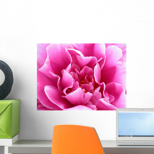 bright pink flower Wall Mural
