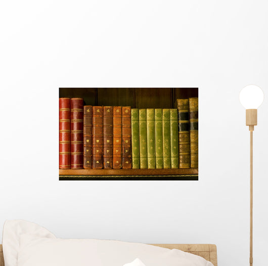 Old books Wall Mural