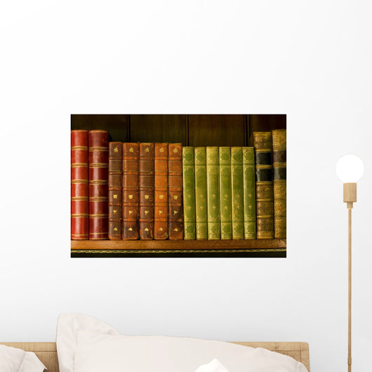 Old books Wall Mural