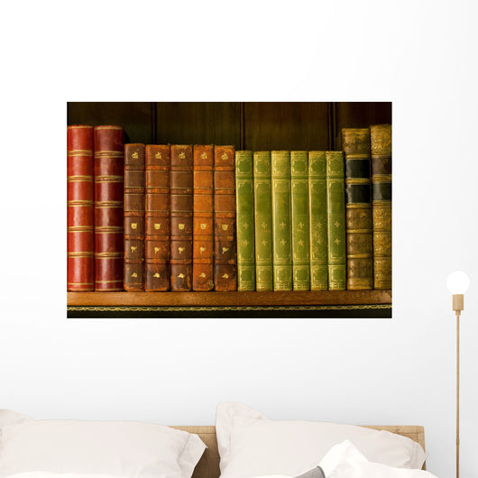Old books Wall Mural