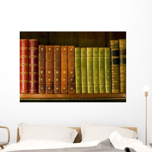 Old books Wall Mural