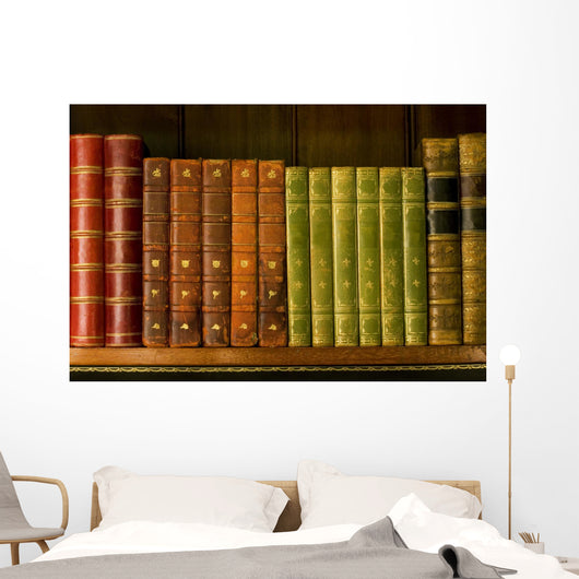 Old books Wall Mural
