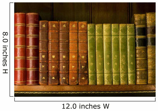 Old books Wall Mural