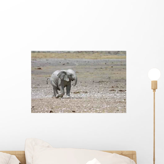 Elephant Wall Decal