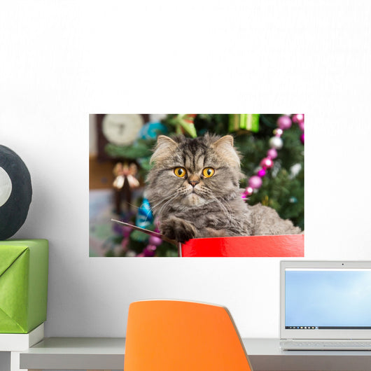 Persian Kitten Sitting Red Wall Decal