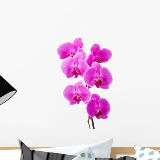 Orchid radiant flower Wall Decal