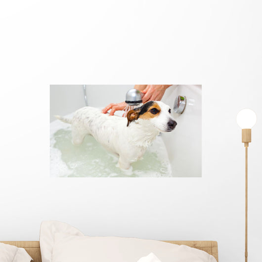 Dog Taking a Bath in a Bathtub