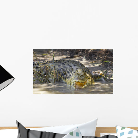 Large Saltwater Crocodile Wall Decal