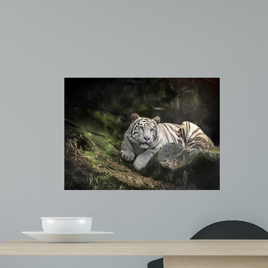 WHITE TIGER on a Rock