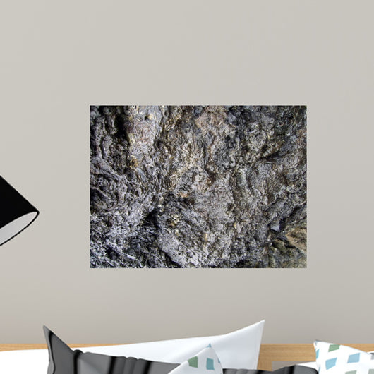 Wet Rock Texture Wall Mural