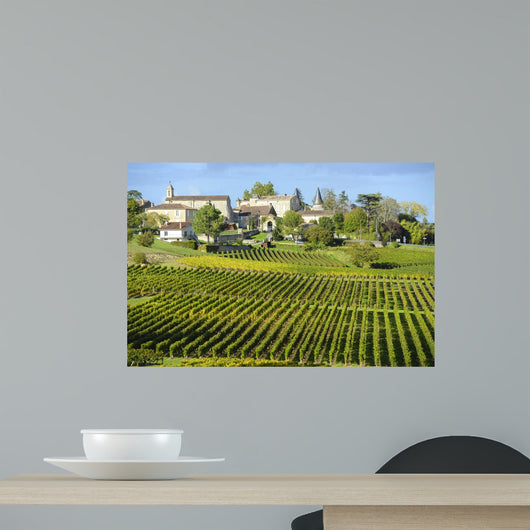 Vineyards of Saint Emilion Bordeaux Vineyards