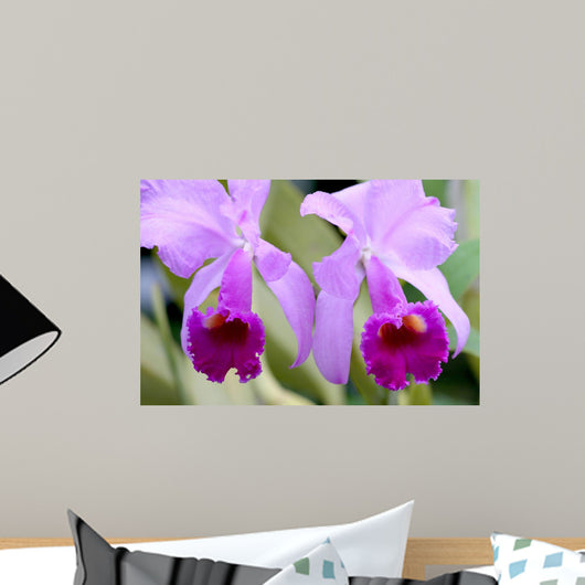 Double Vision Wall Mural