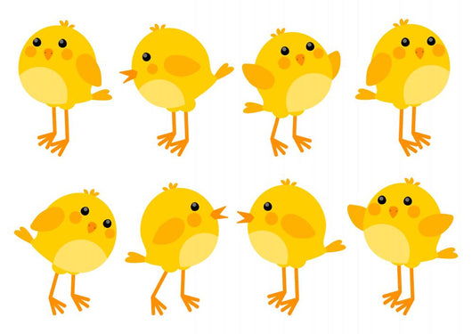 Set of cute little chickens Wall Decal