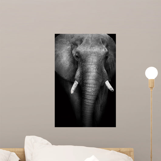 Wild African Elephant (Artistic Edit)