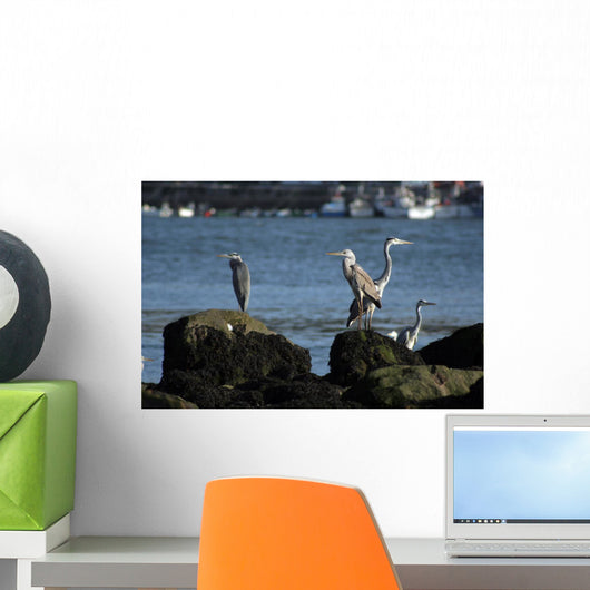 herons Wall Mural