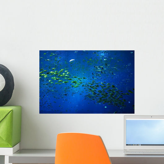 scenic view of the deep water creatures in aquariu Wall Mural