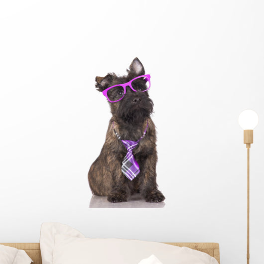 adorable puppy in glasses and tie